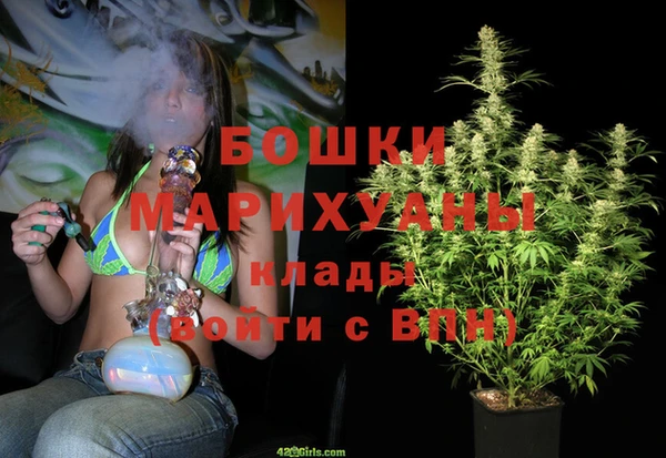 a pvp Пересвет