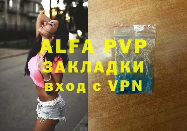 a pvp Пересвет