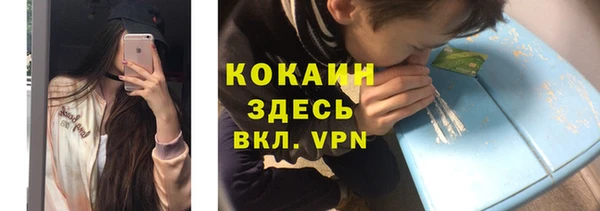 a pvp Пересвет