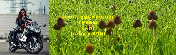 синтетический гашиш Пестово